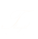 Partner 7